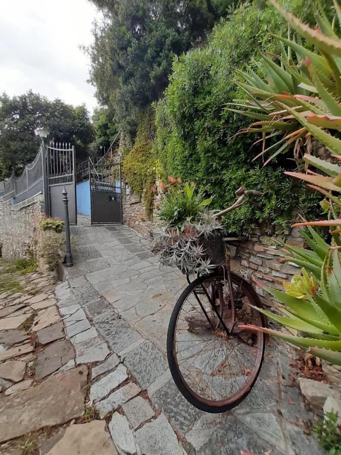 Ca Dell'Acciuga Villa Cervo Kültér fotó