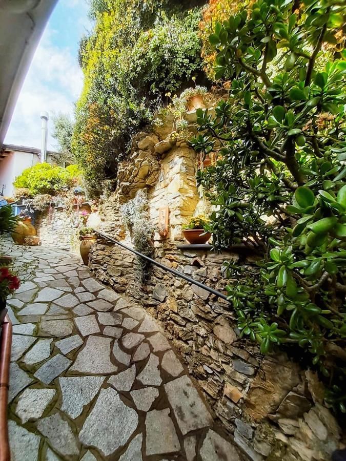 Ca Dell'Acciuga Villa Cervo Kültér fotó