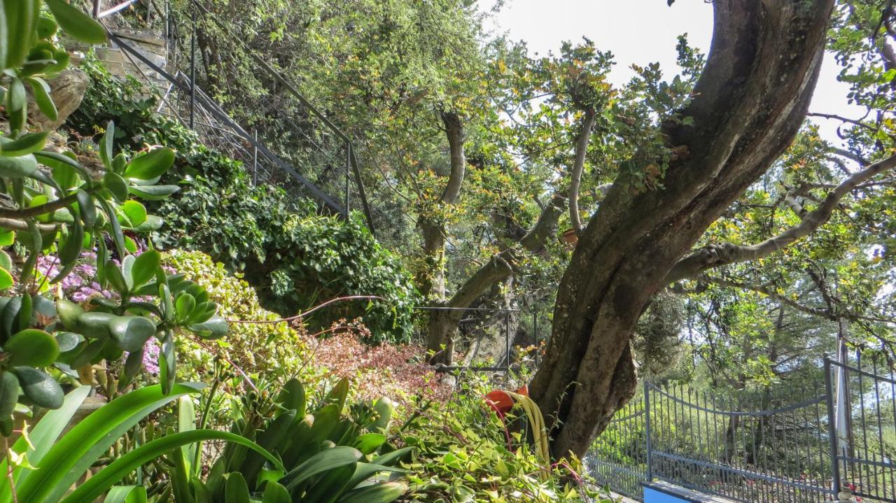 Ca Dell'Acciuga Villa Cervo Kültér fotó